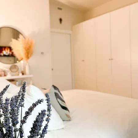 Apartment New Quiet And Design In The Heart Of *